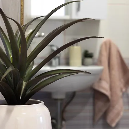 Lili Appartement *