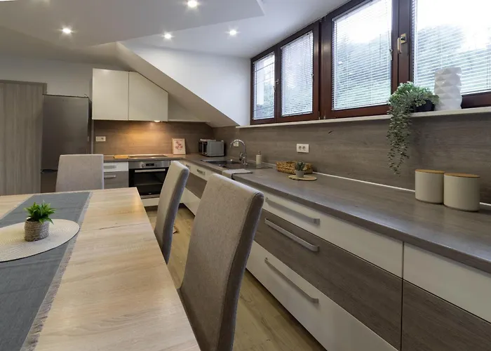 Apartment Lili Stahovica